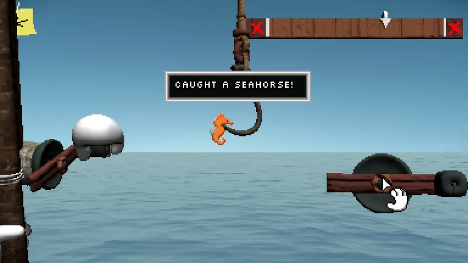 Seahorse caught in Endacopia