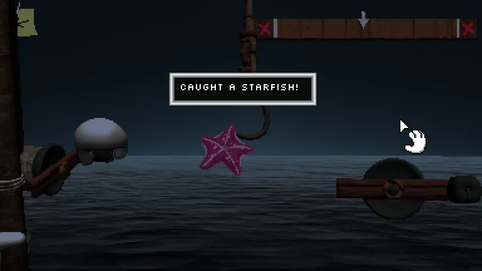 Starfish caught in Endacopia